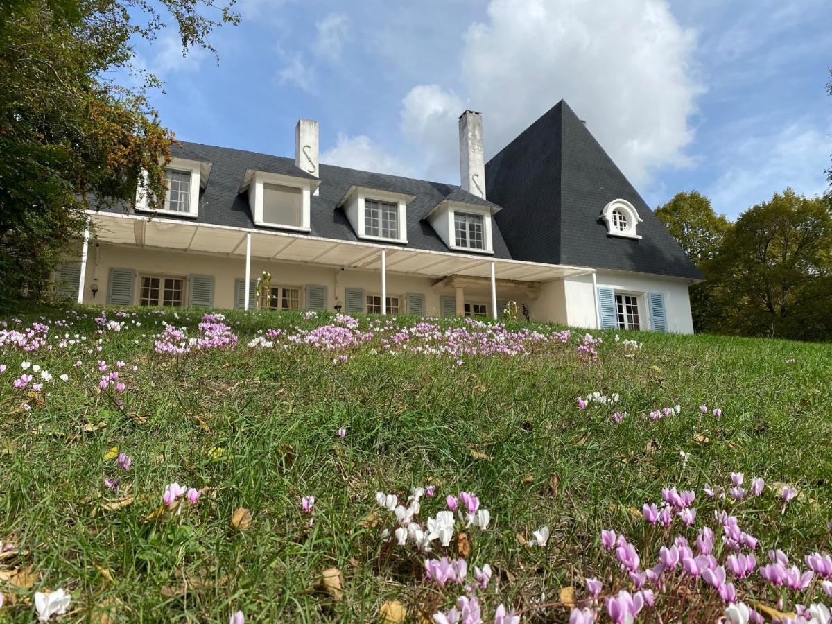Manoir Et Appartements Avec Piscine Au Domaine De Bize Mirepoix เมียร์พัวซ์ ภายนอก รูปภาพ