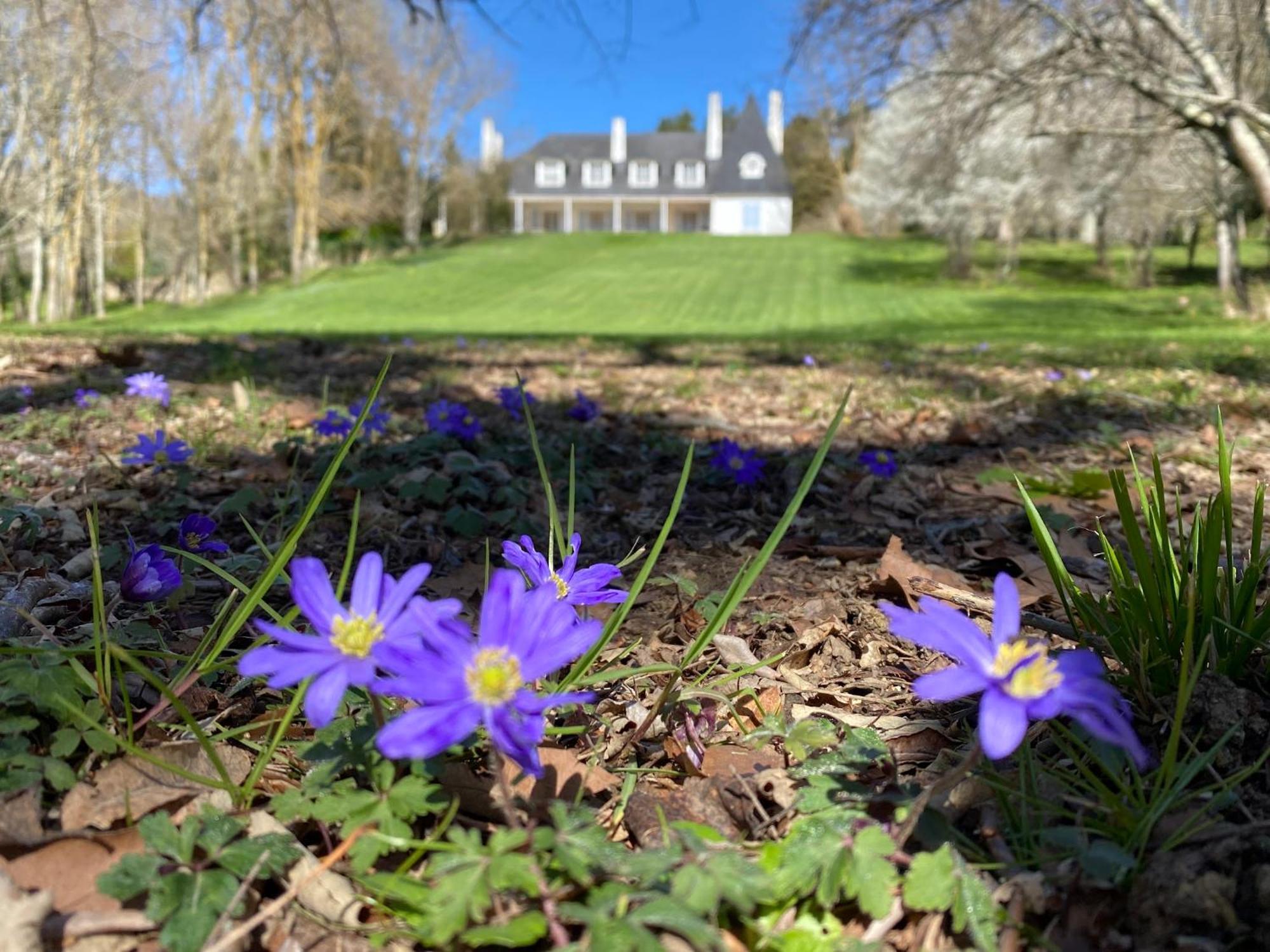 Manoir Et Appartements Avec Piscine Au Domaine De Bize Mirepoix เมียร์พัวซ์ ภายนอก รูปภาพ