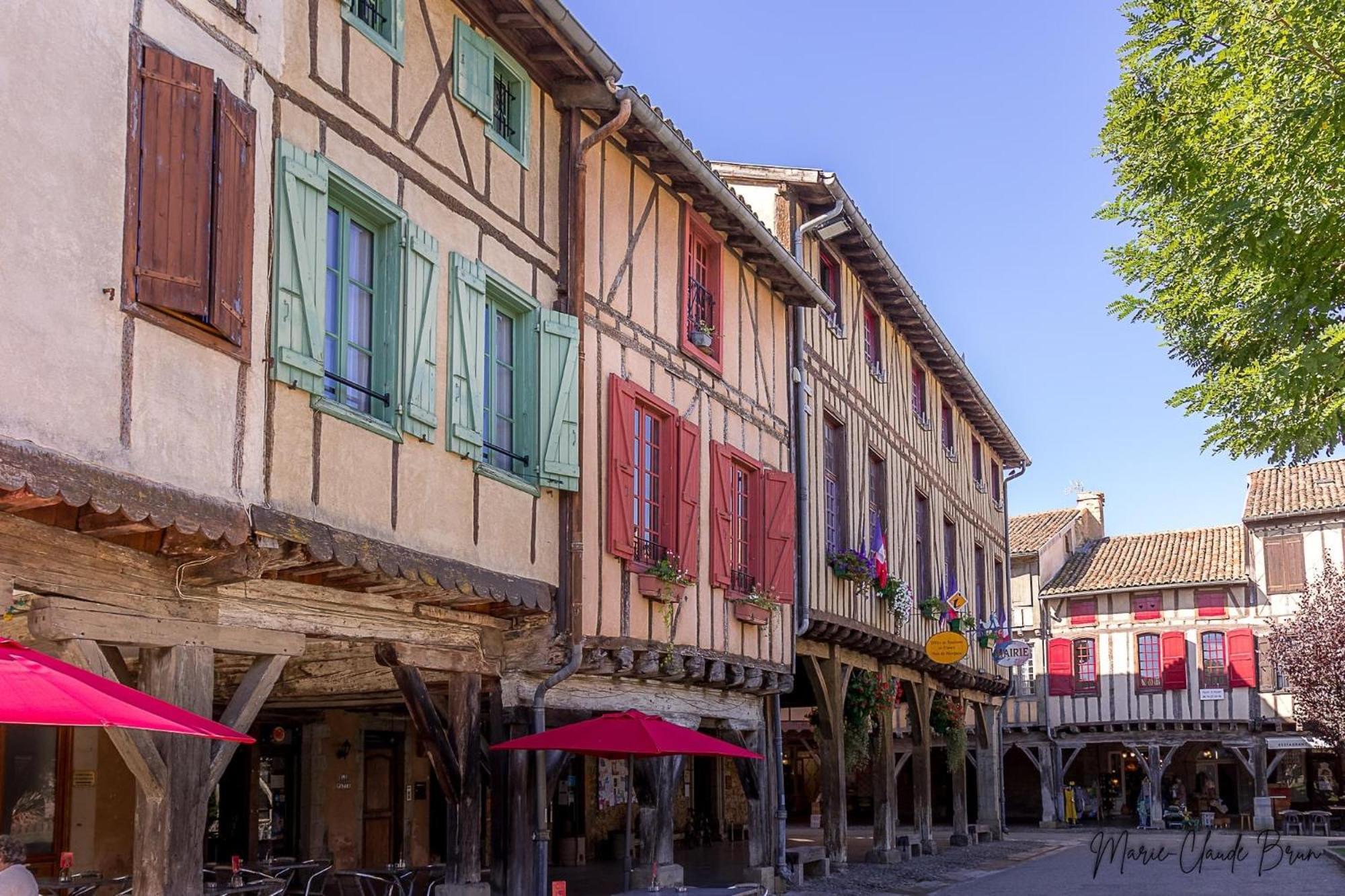 Manoir Et Appartements Avec Piscine Au Domaine De Bize Mirepoix เมียร์พัวซ์ ภายนอก รูปภาพ